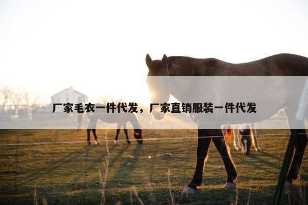 厂家毛衣一件代发，厂家直销服装一件代发