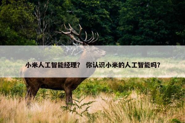 小米人工智能经理？ 你认识小米的人工智能吗？