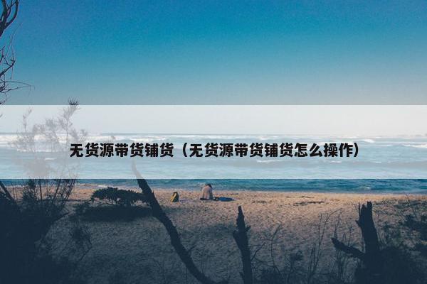 无货源带货铺货（无货源带货铺货怎么操作）