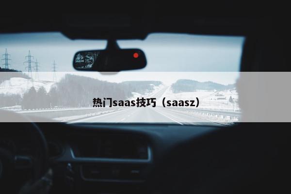 热门saas技巧（saasz）