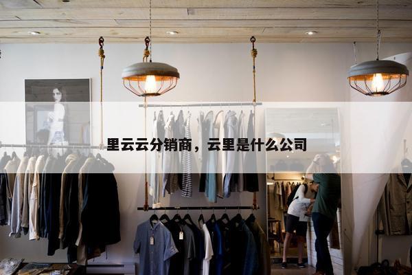 里云云分销商，云里是什么公司