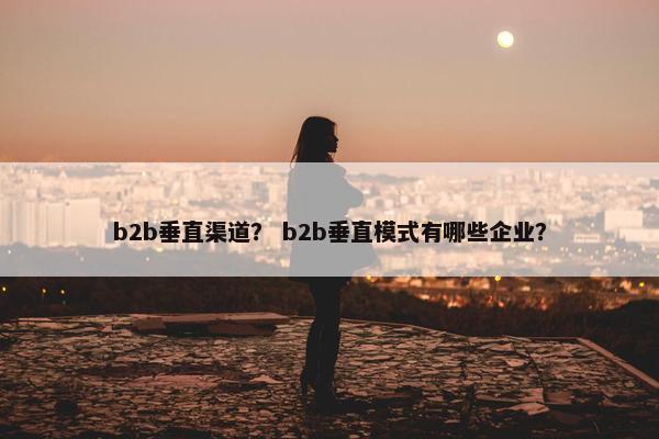b2b垂直渠道？ b2b垂直模式有哪些企业？