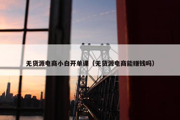 无货源电商小白开单课（无货源电商能赚钱吗）