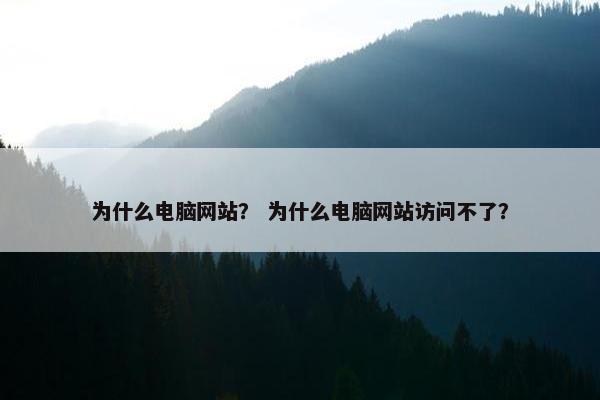 为什么电脑网站？ 为什么电脑网站访问不了？
