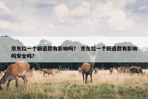京东拉一个新退款有影响吗？ 京东拉一个新退款有影响吗安全吗？