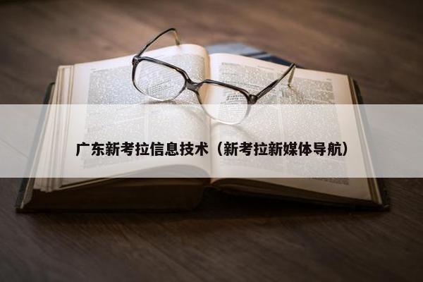 广东新考拉信息技术（新考拉新媒体导航）