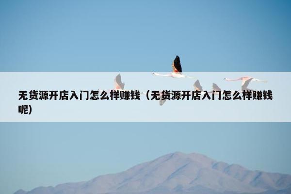 无货源开店入门怎么样赚钱（无货源开店入门怎么样赚钱呢）