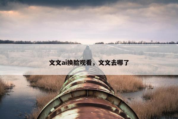 文文ai换脸观看，文文去哪了