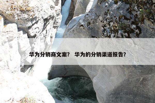 华为分销商文案？ 华为的分销渠道报告？