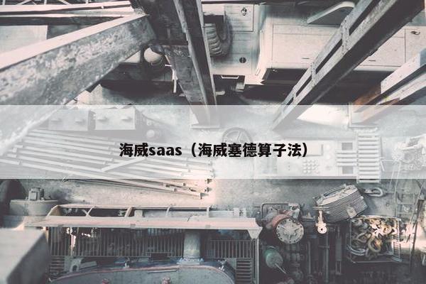 海威saas（海威塞德算子法）