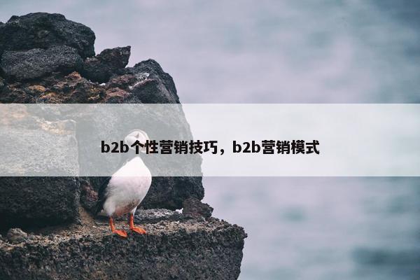 b2b个性营销技巧，b2b营销模式