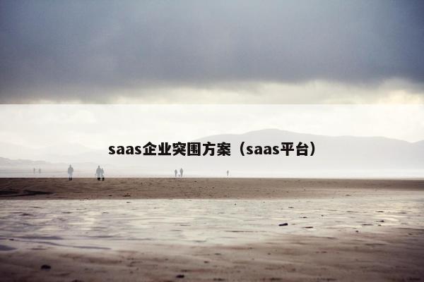 saas企业突围方案（saas平台）