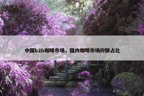 中国b2b咖啡市场，国内咖啡市场份额占比