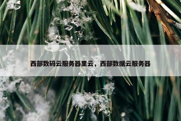 西部数码云服务器里云，西部数据云服务器