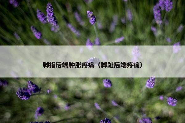 脚指后端肿胀疼痛（脚趾后端疼痛）