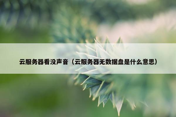 云服务器看没声音（云服务器无数据盘是什么意思）