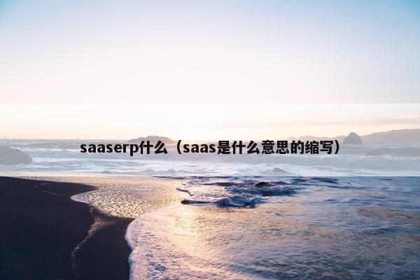 saaserp什么（saas是什么意思的缩写）