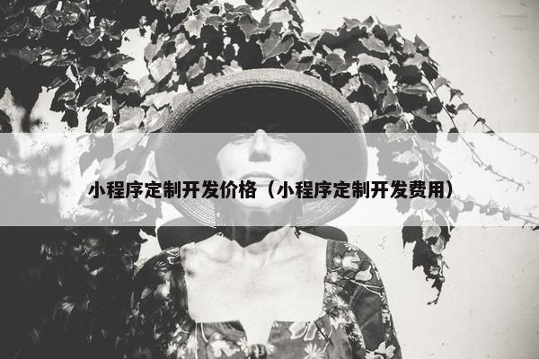 小程序定制开发价格（小程序定制开发费用）