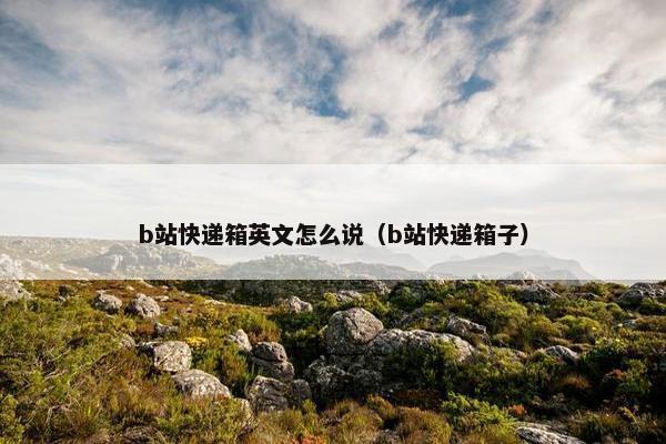 b站快递箱英文怎么说（b站快递箱子）