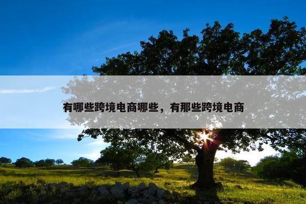 有哪些跨境电商哪些，有那些跨境电商