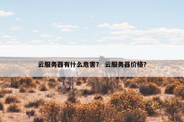 云服务器有什么危害？ 云服务器价格？