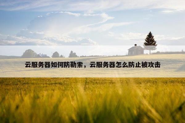 云服务器如何防勒索，云服务器怎么防止被攻击