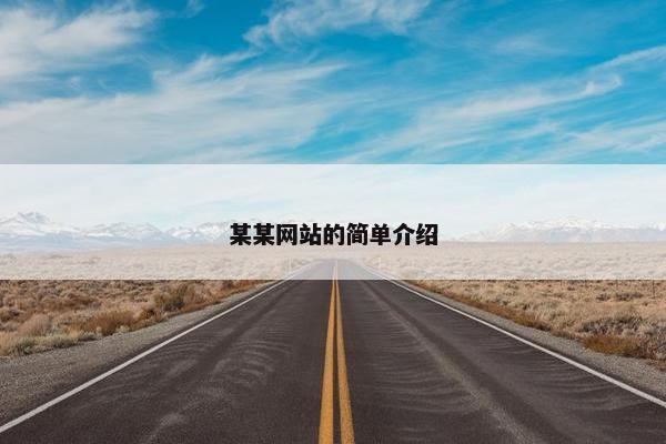某某网站的简单介绍