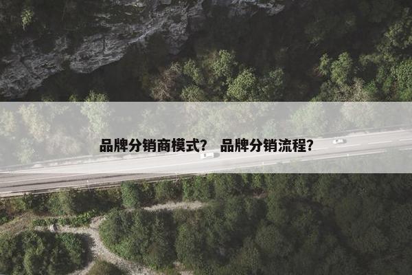 品牌分销商模式？ 品牌分销流程？