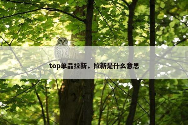 top单品拉新，拉新是什么意思
