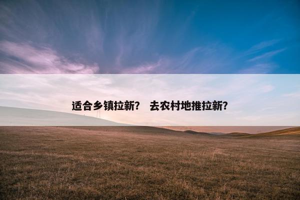 适合乡镇拉新？ 去农村地推拉新？