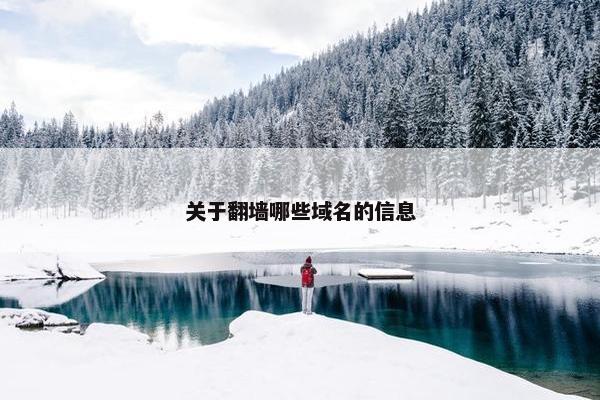 关于翻墙哪些域名的信息