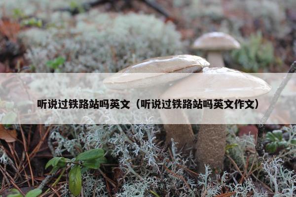 听说过铁路站吗英文（听说过铁路站吗英文作文）