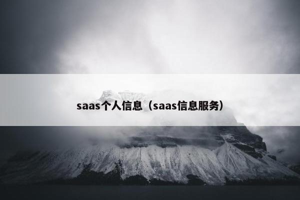 saas个人信息（saas信息服务）