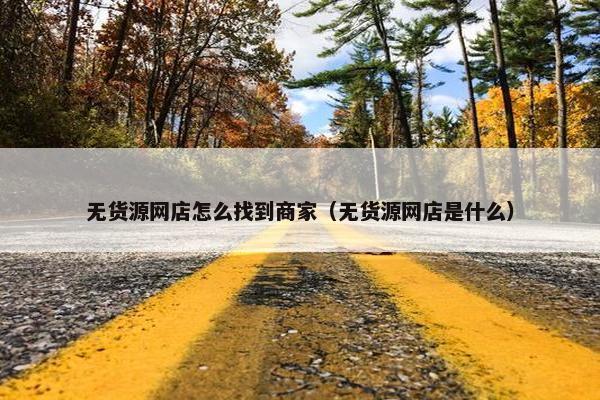 无货源网店怎么找到商家（无货源网店是什么）