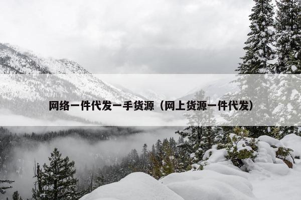 网络一件代发一手货源（网上货源一件代发）