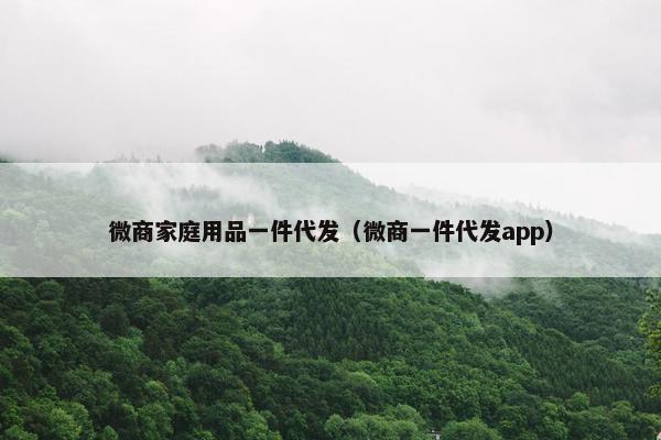 微商家庭用品一件代发（微商一件代发app）