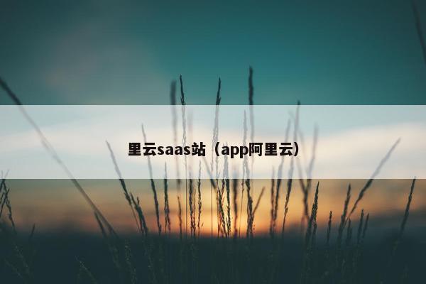 里云saas站（app阿里云）