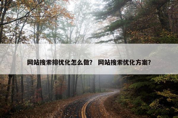 网站搜索排优化怎么做？ 网站搜索优化方案？