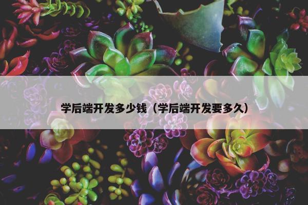 学后端开发多少钱（学后端开发要多久）