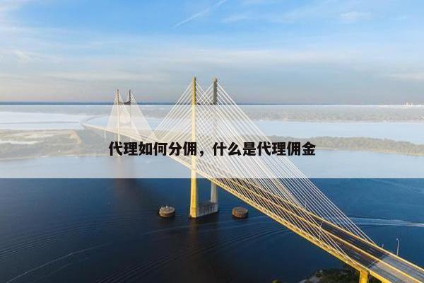 代理如何分佣，什么是代理佣金