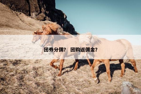 团券分佣？ 团购返佣金？