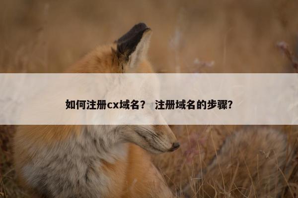 如何注册cx域名？ 注册域名的步骤？