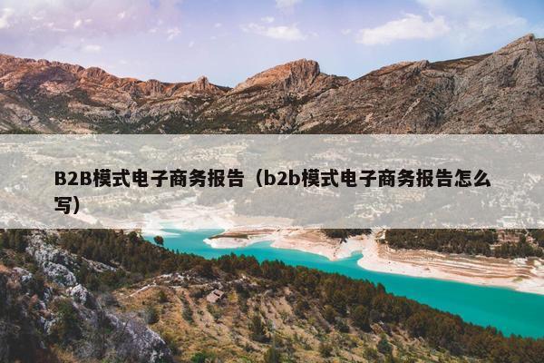 B2B模式电子商务报告（b2b模式电子商务报告怎么写）
