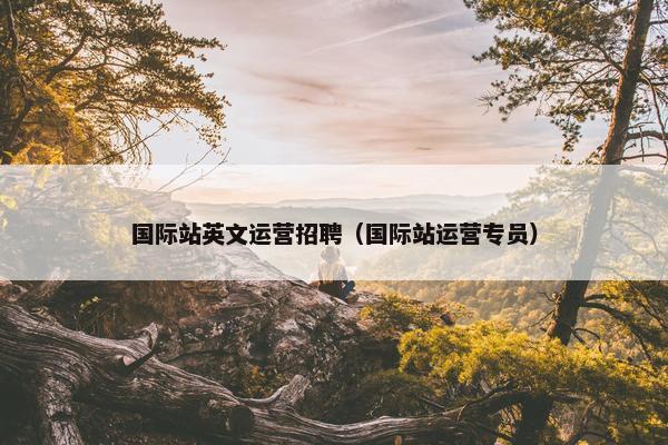 国际站英文运营招聘（国际站运营专员）