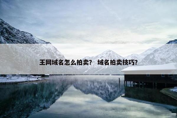 王网域名怎么拍卖？ 域名拍卖技巧？