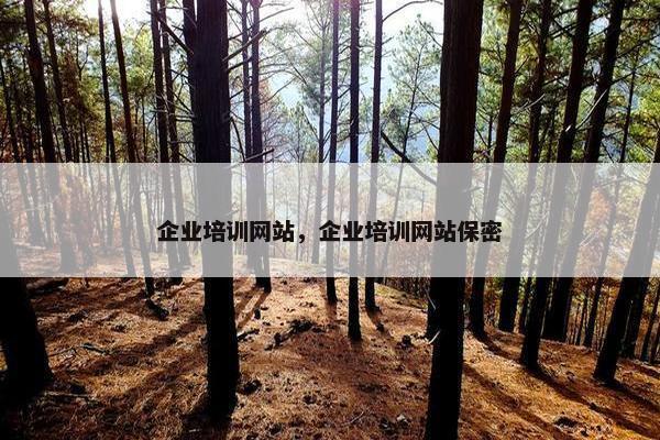 企业培训网站，企业培训网站保密