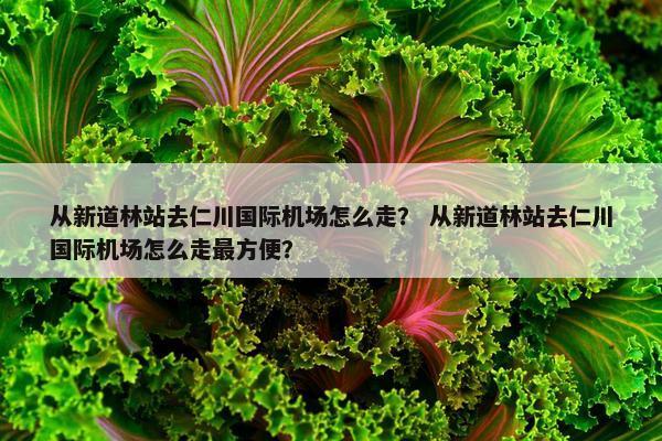 从新道林站去仁川国际机场怎么走？ 从新道林站去仁川国际机场怎么走最方便？