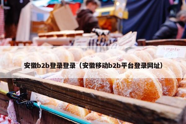 安徽b2b登录登录（安徽移动b2b平台登录网址）