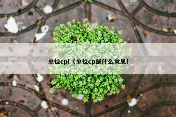 单位cpl（单位cp是什么意思）