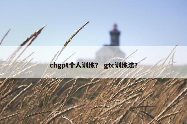 chgpt个人训练？ gtc训练法？